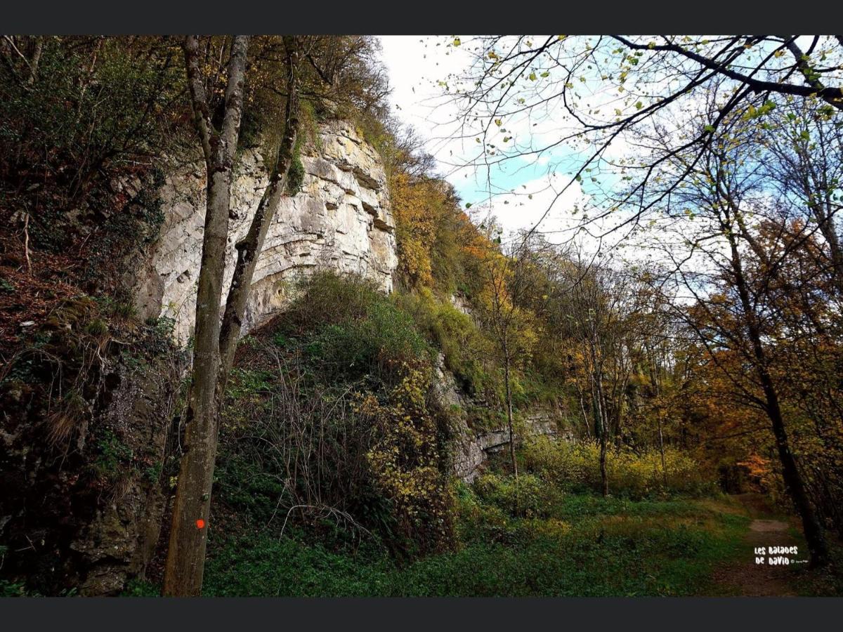 Enjoy Durbuy 2 Lägenhet Exteriör bild